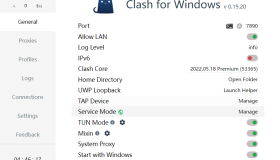 Clash Tun mode模式设置详细教程及使用说明