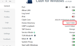 Clash HTTP API接口详解及自动换IP办法